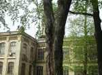 Бук парка КПИ